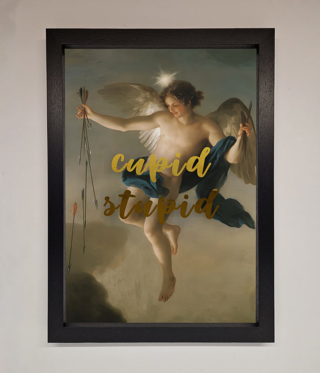 Cupid Stupid Foil Print-6