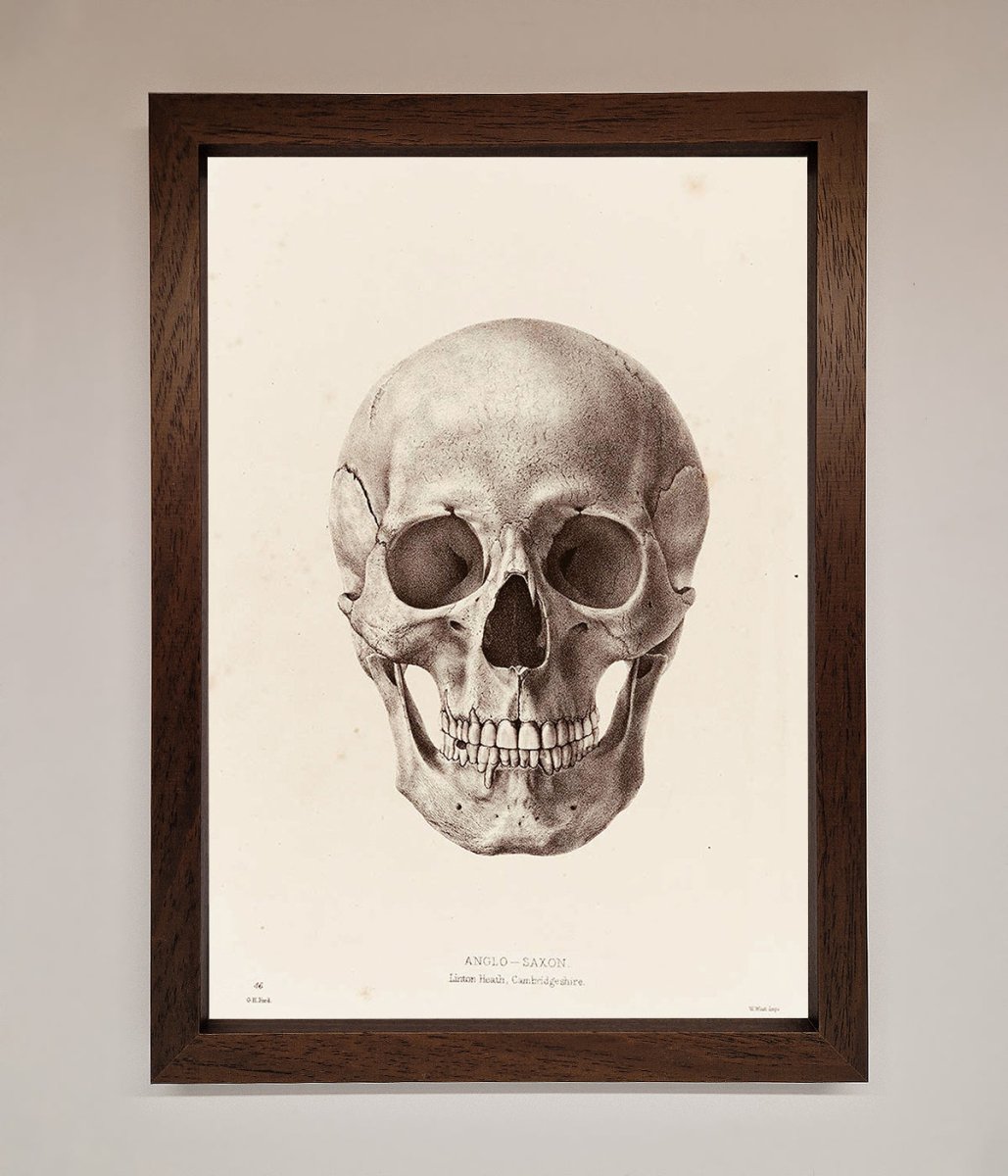 Skull Science Framed Poster-4
