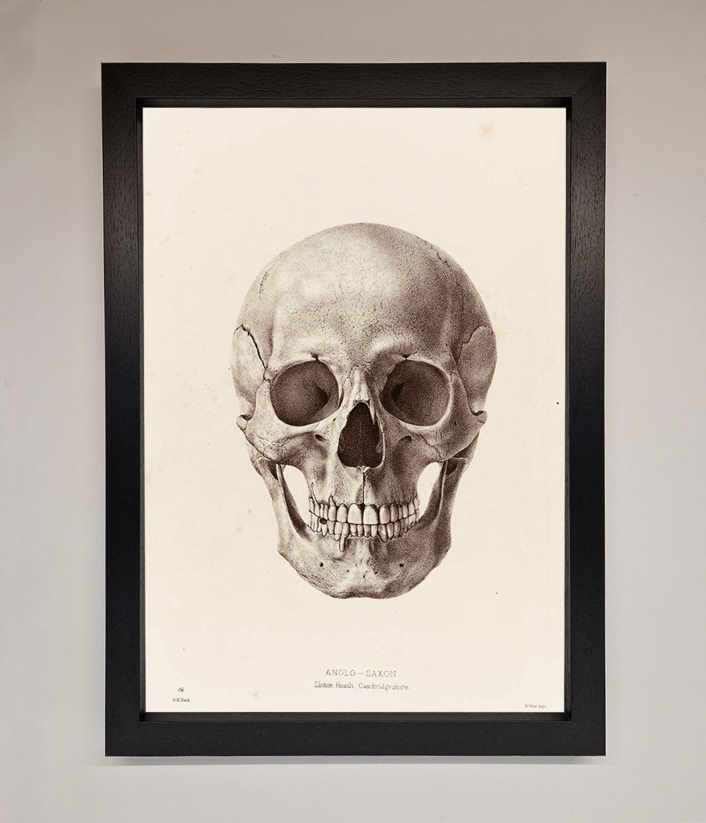 Skull Science Framed Poster-1