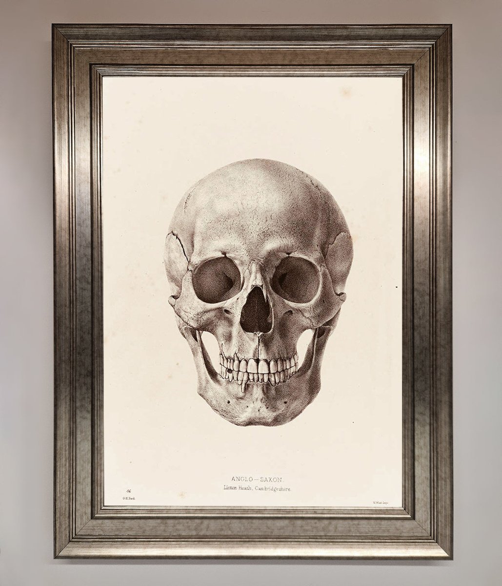 Skull Science Framed Poster-5