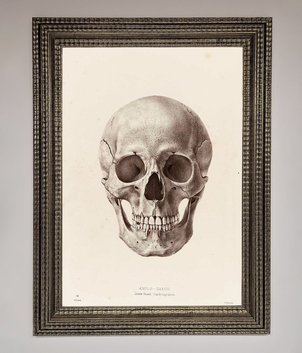 Skull Science Framed Poster-16