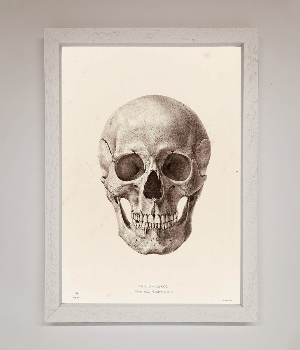 Skull Science Framed Poster-2